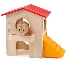 مدل های خانه برای همستر و خوکچه هندی 
